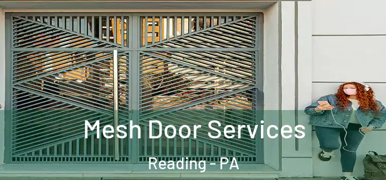 Mesh Door Services Reading - PA
